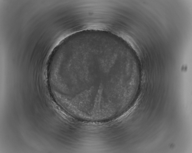 X0000097290923200803141507