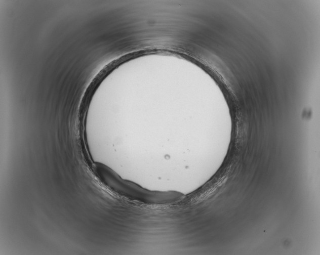 X0000097290924200803141507