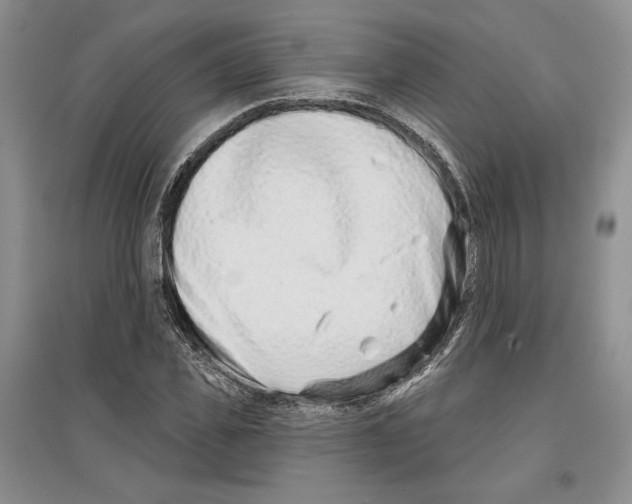 X0000097290925200803141507