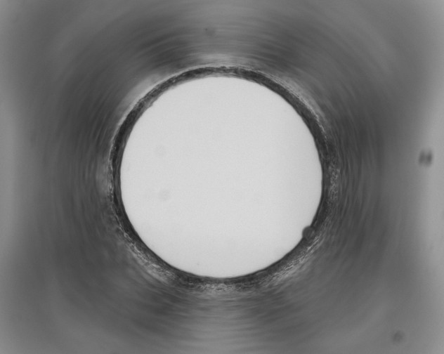 X0000097290927200803141507