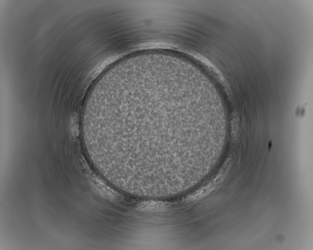 X0000097290929200803141507