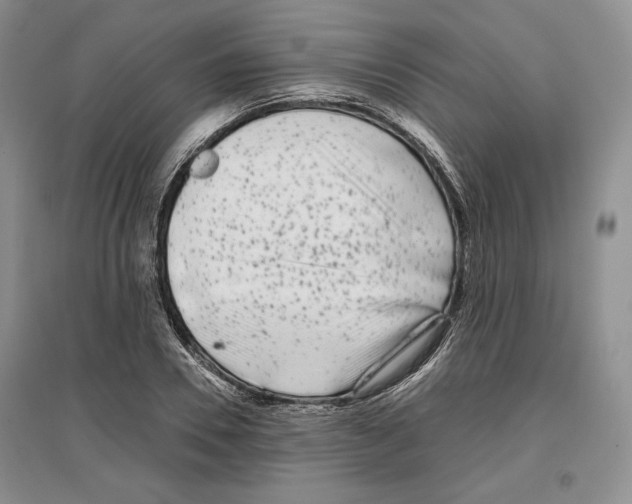 X0000097290930200803141507