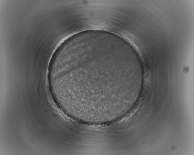 X0000097290932200803141507