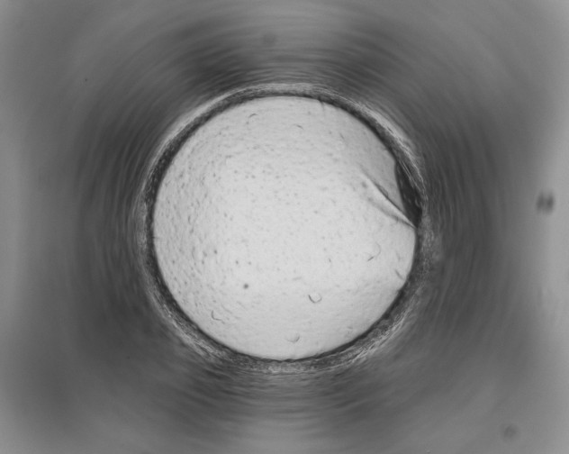 X0000097290933200803141507