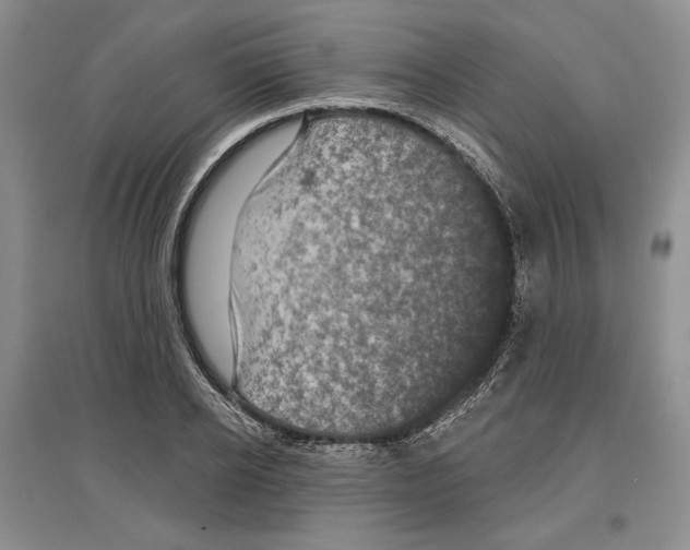 X0000097290934200803141507