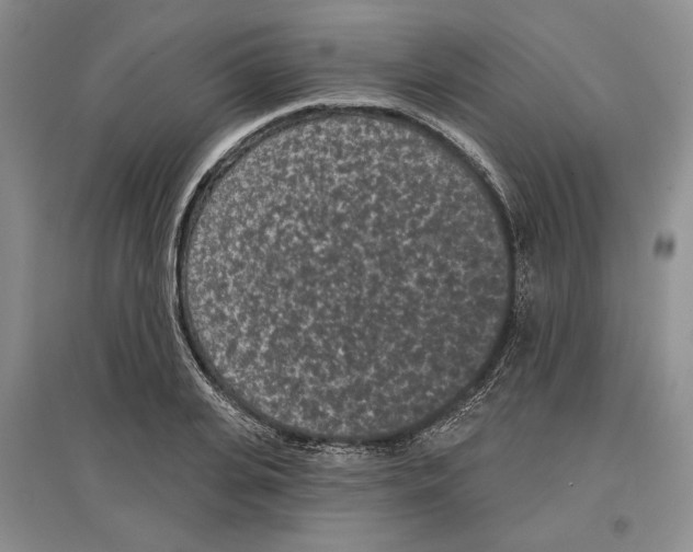 X0000097290935200803141507