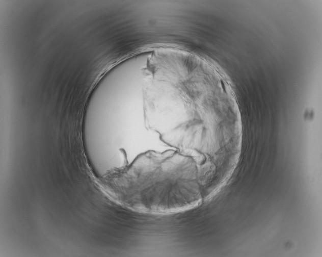 X0000097290937200803141507