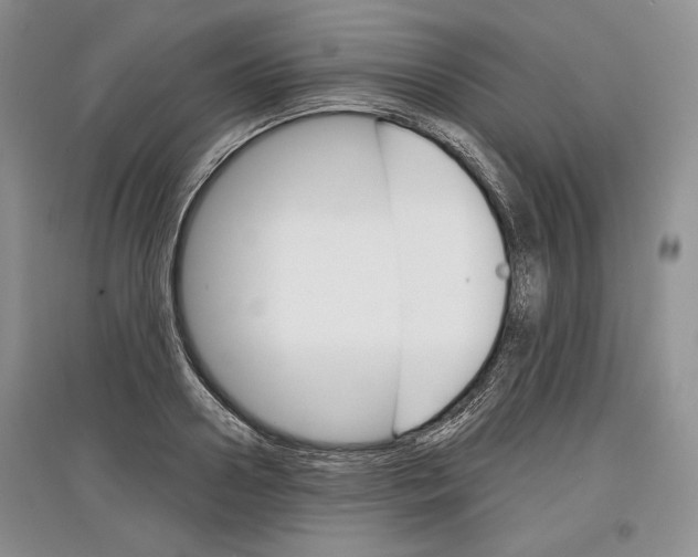 X0000097290938200803141507