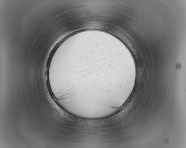 X0000097290939200803141507