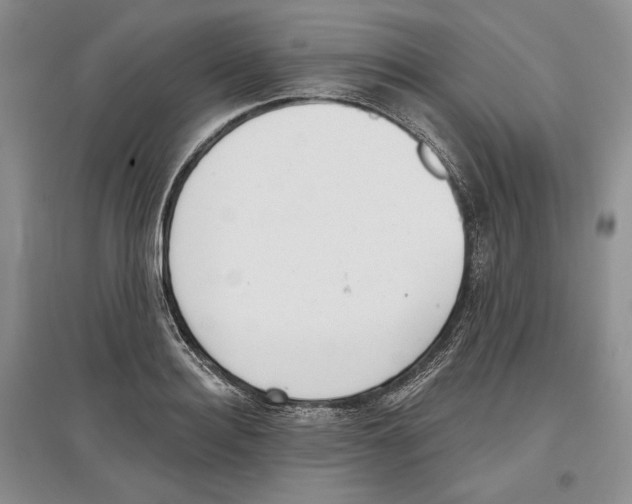 X0000097290940200803141507