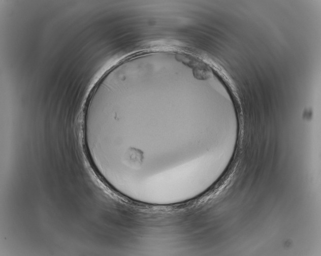 X0000097290941200803141507