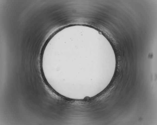 X0000097290942200803141507