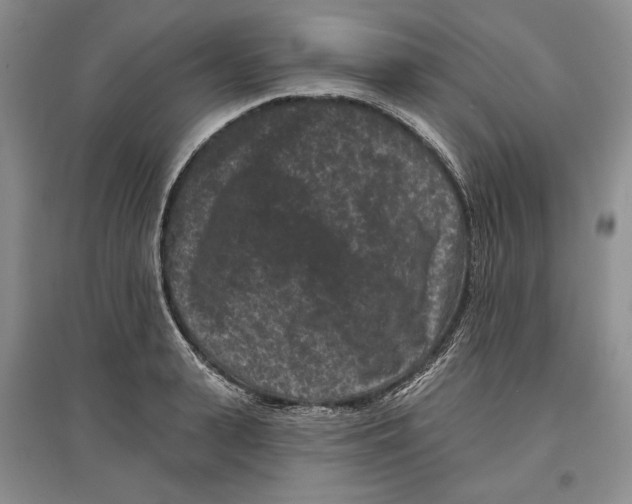 X0000097290943200803141507