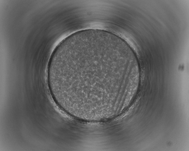 X0000097290944200803141507