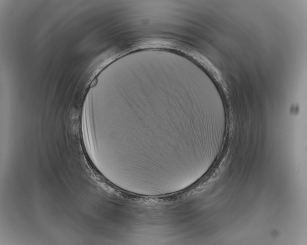 X0000097290945200803141507