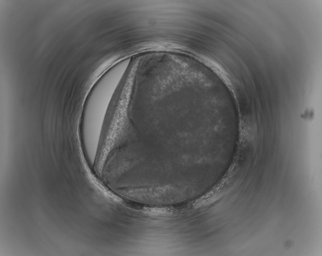 X0000097290946200803141507