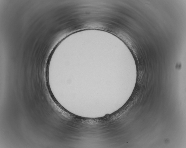 X0000097290947200803141507