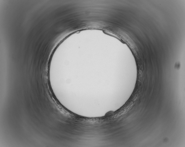 X0000097290948200803141507