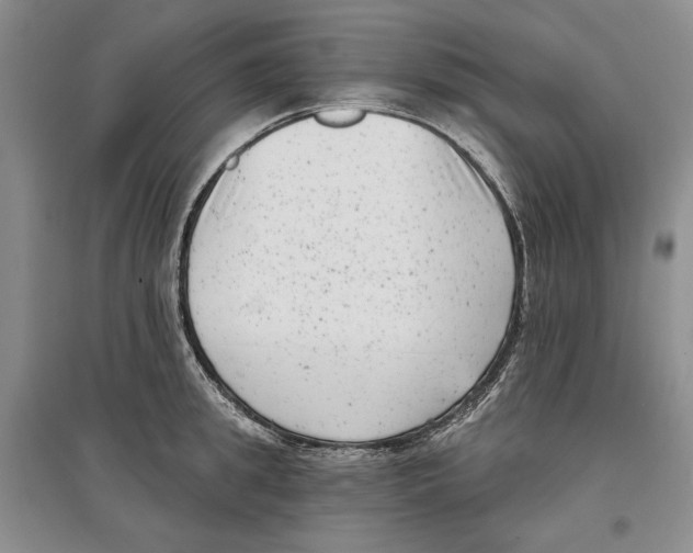 X0000097290949200803141507