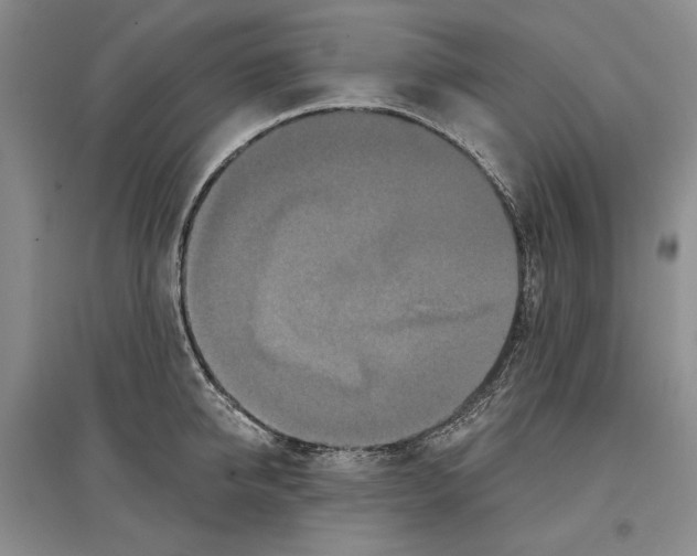 X0000097290950200803141508