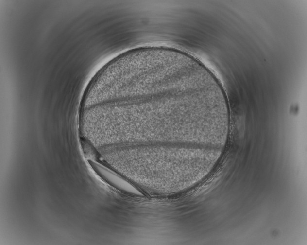 X0000097290951200803141508