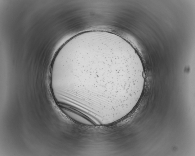 X0000097290952200803141508