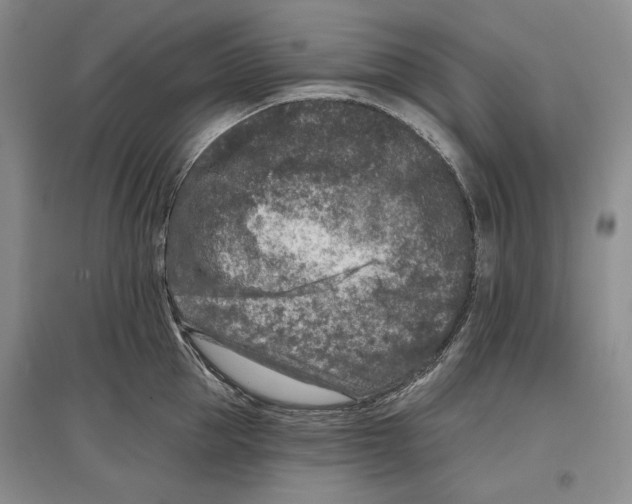 X0000097290953200803141508