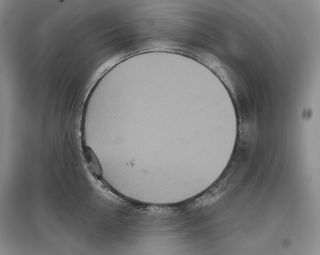 X0000097290954200803141508