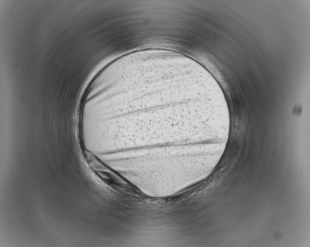 X0000097290955200803141508