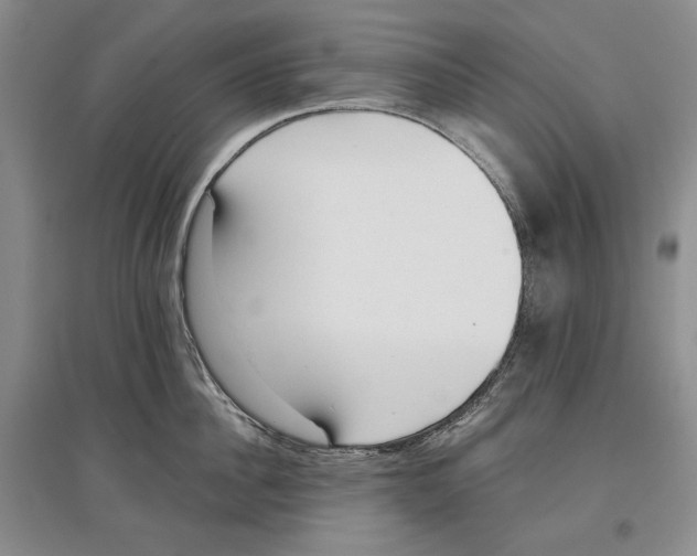 X0000097290956200803141508