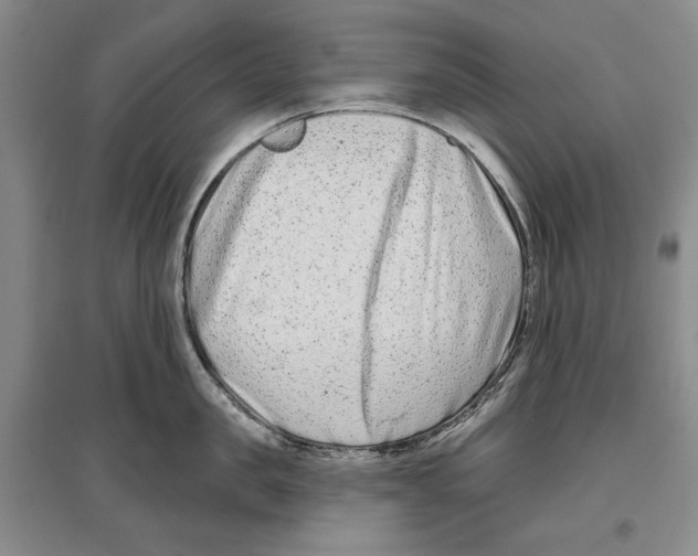 X0000097290957200803141508