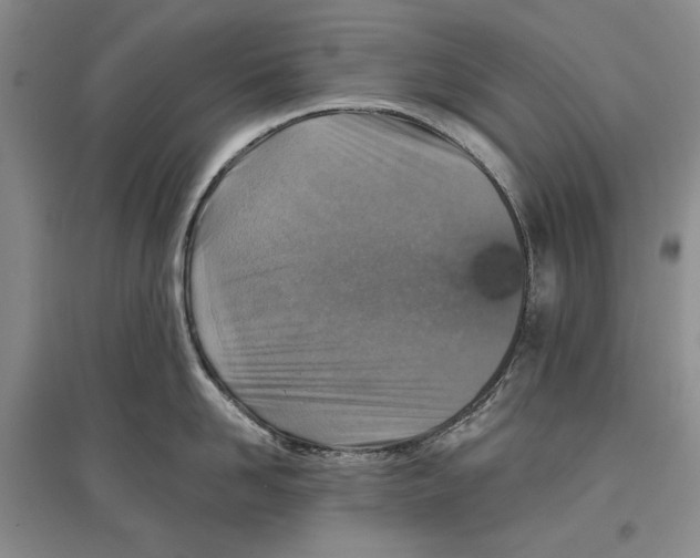 X0000097290958200803141508