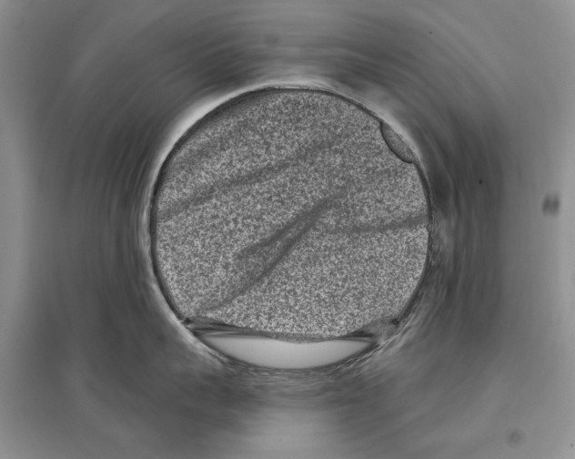 X0000097290959200803141508