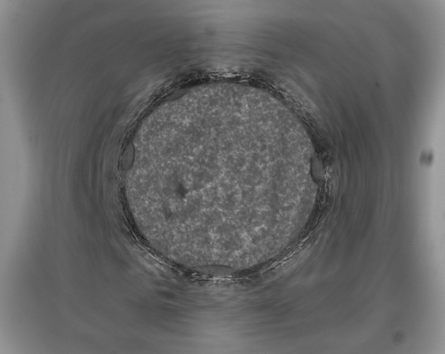 X0000097290961200803141507