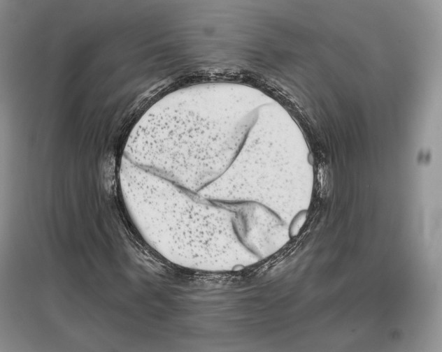 X0000097290963200803141507