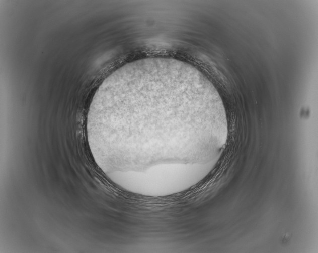 X0000097290964200803141507