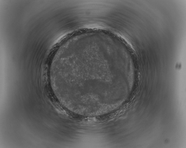 X0000097290968200803141507