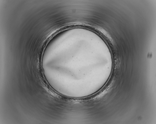 X0000097290969200803141507