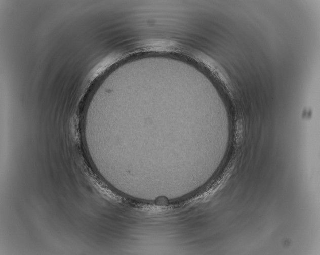 X0000097290970200803141507