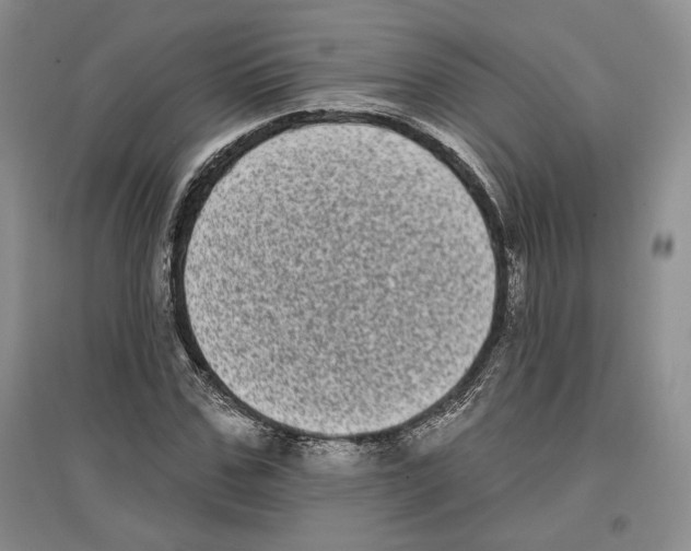 X0000097290971200803141507