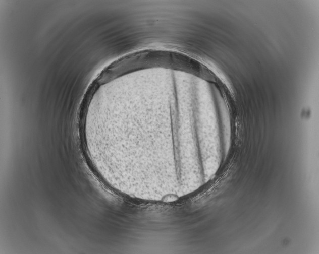 X0000097290972200803141507