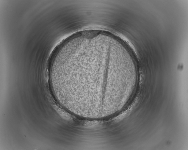 X0000097290973200803141507