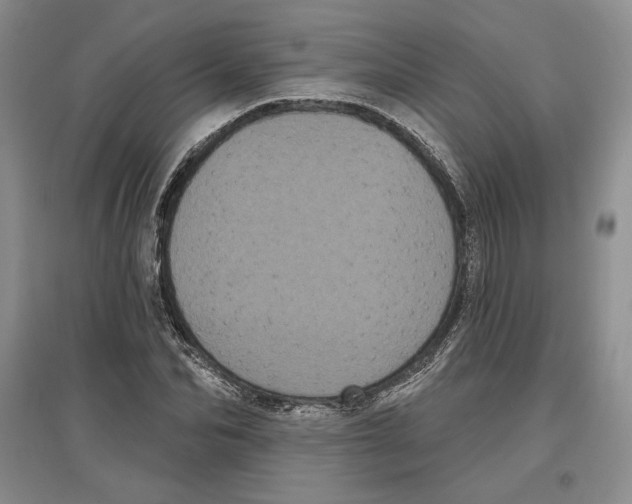 X0000097290974200803141507