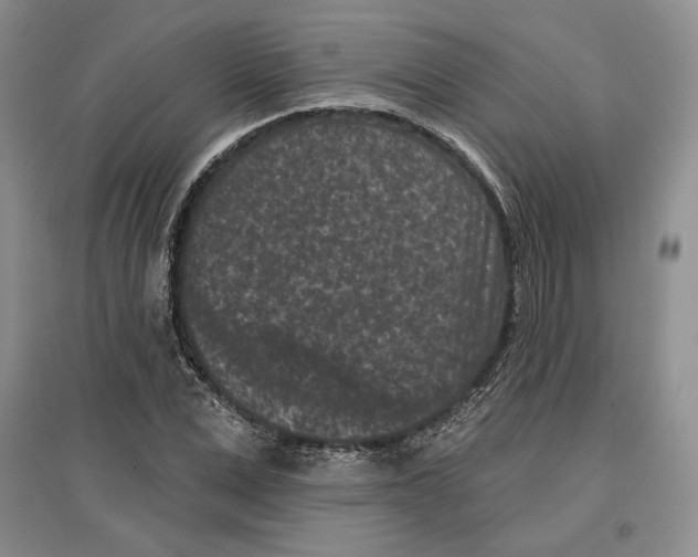 X0000097290975200803141507