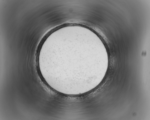 X0000097290976200803141507