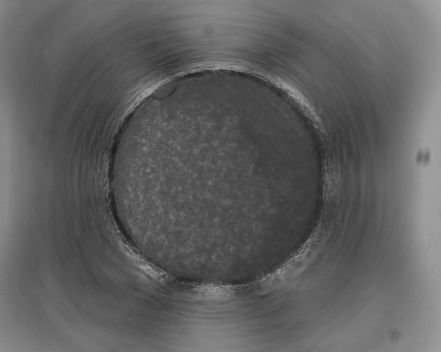 X0000097290977200803141507