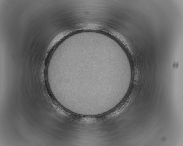 X0000097290978200803141507