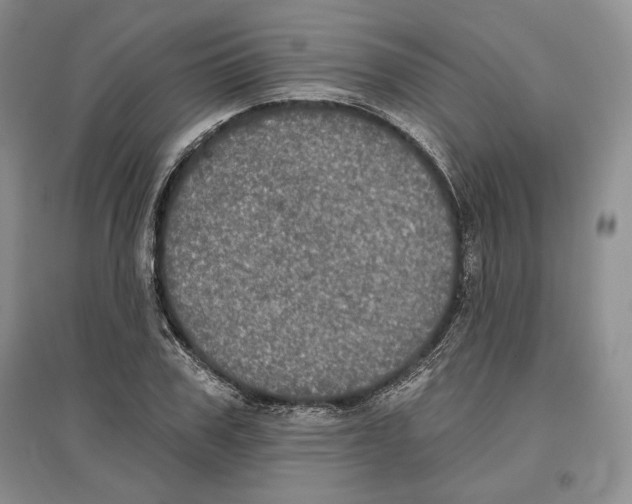 X0000097290979200803141507