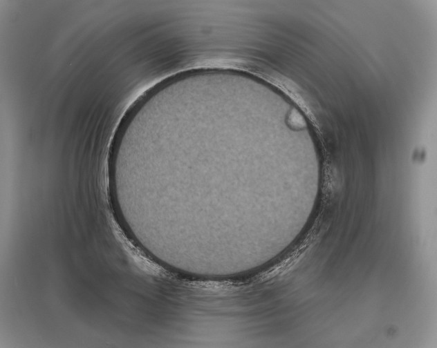 X0000097290980200803141507