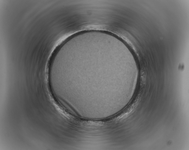 X0000097290981200803141507